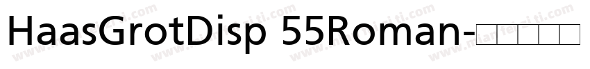 HaasGrotDisp 55Roman字体转换